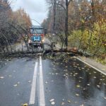 Pracowity dzień strażaków z regionu