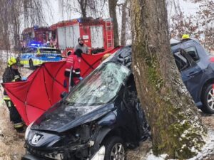 Tragedia w powiecie goleniowskim – osobówka rozbiła się na drzewie