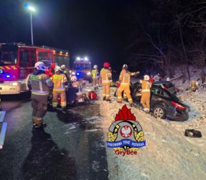 Czołowe zderzenie na DW 112 pod Płotami – pięć osób poszkodowanych