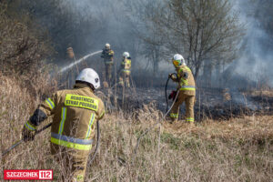 Pracowity dzień strażaków – dwa pożary lasów w Szczecinku